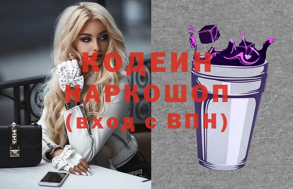 хмурый Пестово